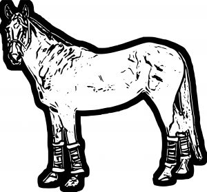 Horse Coloring Page Wecoloringpage 189