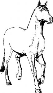 Horse Coloring Page Wecoloringpage 199