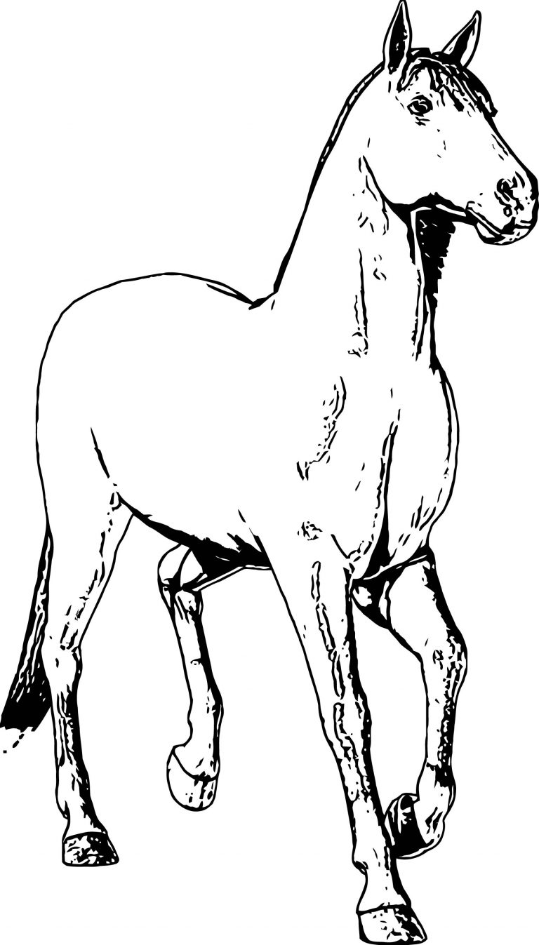 Cartoon Horse Wing Coloring Page | Wecoloringpage.com
