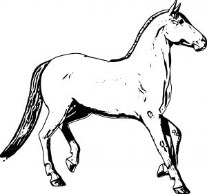 Horse Coloring Page Wecoloringpage 200