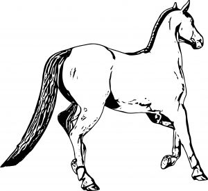 Horse Coloring Page Wecoloringpage 201