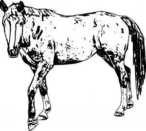 Horse Coloring Page Wecoloringpage 216