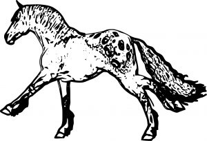Horse Coloring Page Wecoloringpage 222