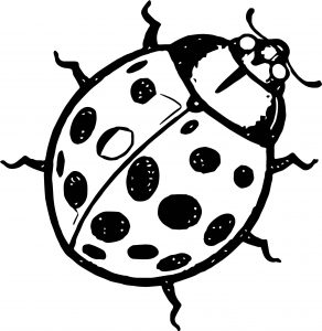 Insect Coloring Page WeColoringPage 22