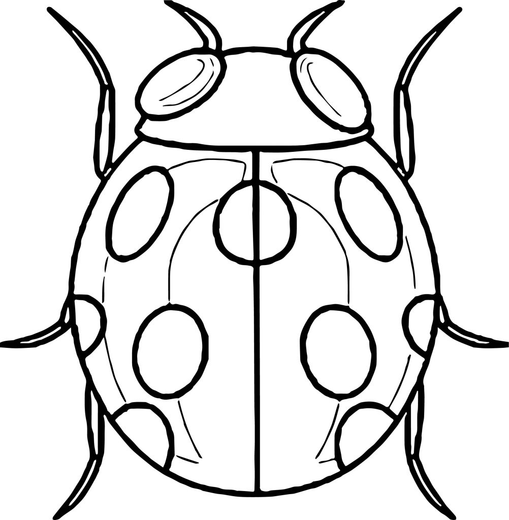 Insect Coloring Page WeColoringPage 37 | Wecoloringpage.com