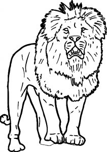 Lion Coloring Page 14
