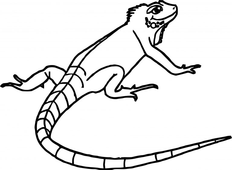 Top Outline Lizard Coloring Page | Wecoloringpage.com