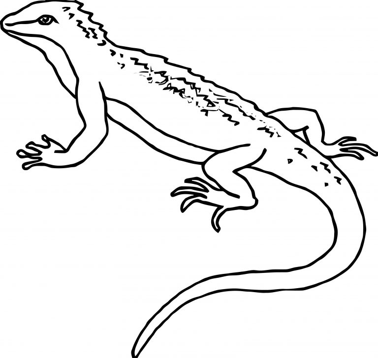 Top Outline Lizard Coloring Page | Wecoloringpage.com