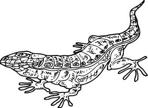 Lizard Coloring Page 21