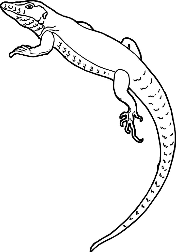 Lizard Coloring Pages | Wecoloringpage.com