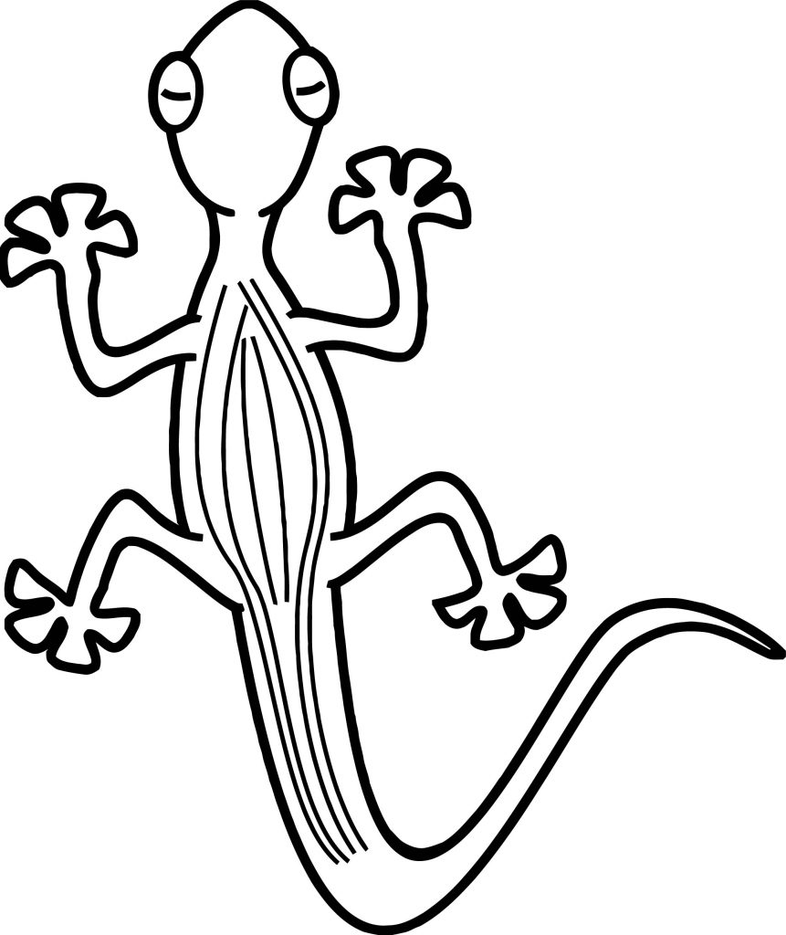 Lizard Top View Cartoon Coloring Page - Wecoloringpage.com