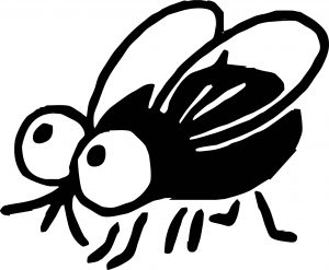 insect fly insect coloring page