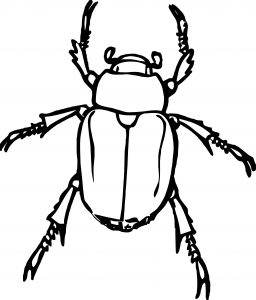 johnny automatic chafer bug Coloring page