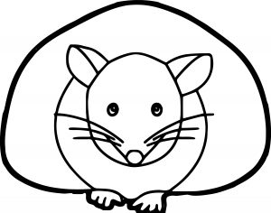 Mouse Jpeg Coloring Page 11