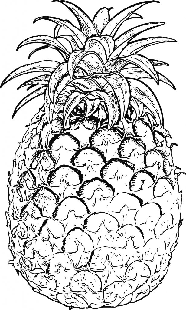 Pineapple Coloring Page WeColoringPage 41 - Wecoloringpage.com