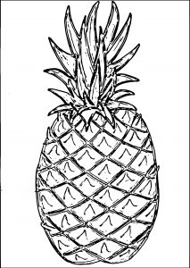 Pineapple Coloring Page WeColoringPage 50