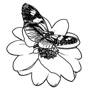 Butterfly Coloring Page Wecoloringpage (188)