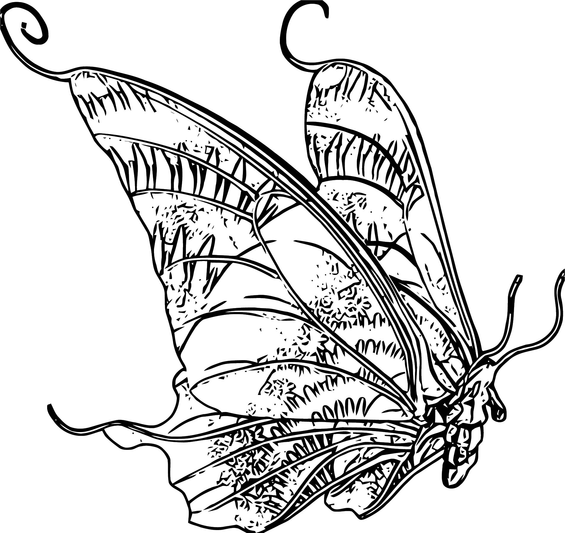 Butterfly Coloring Page Wecoloringpage (191) - Wecoloringpage.com