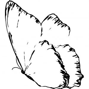 Butterfly Coloring Page Wecoloringpage 291