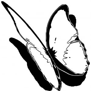 Butterfly Coloring Page Wecoloringpage (329)