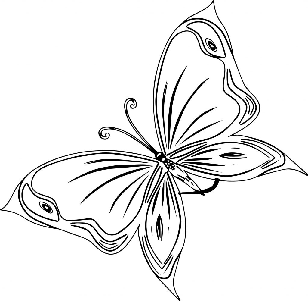 Butterfly Wecoloringpage.Com Coloring Page Format - Wecoloringpage.com