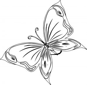 Butterfly Wecoloringpage.Com Coloring Page Format