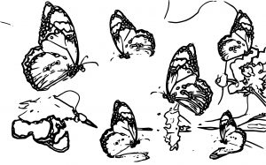 Butterflys Coloring Page