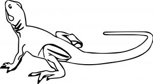 Lizard Jpeg Coloring Page WeColoringPage 26