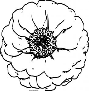 Rose Coloring Page 17