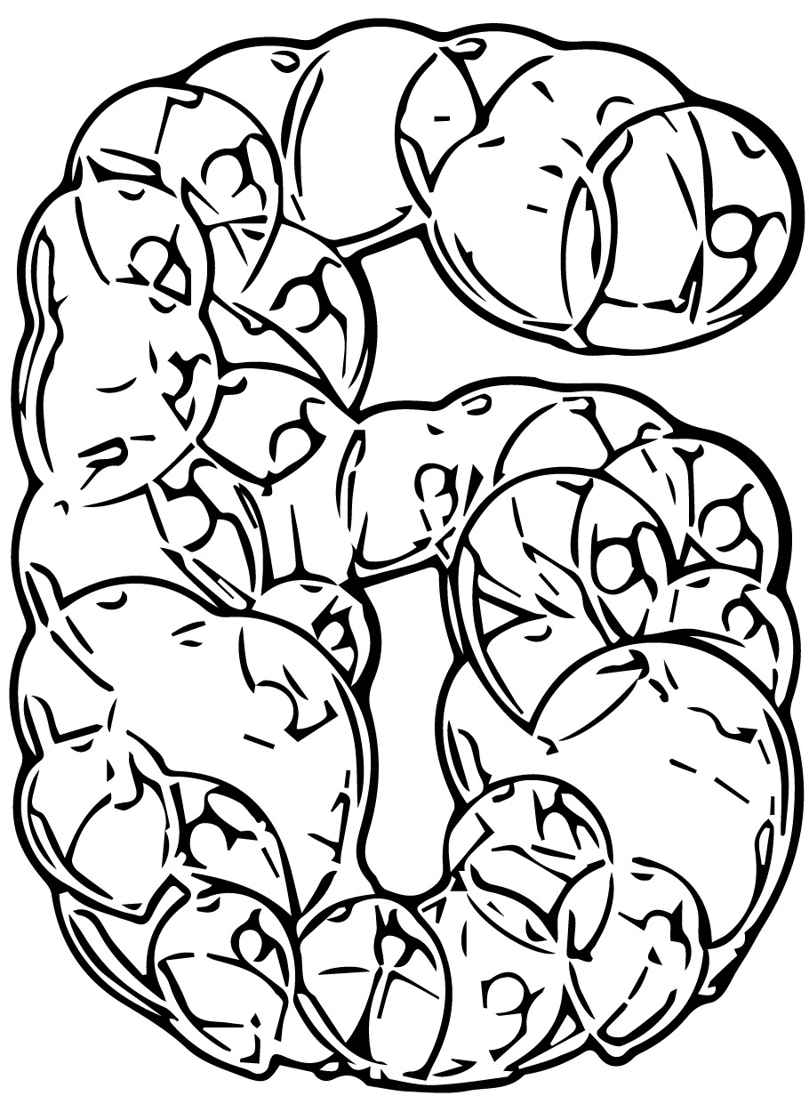 Six Number Of Balloons Coloring Page