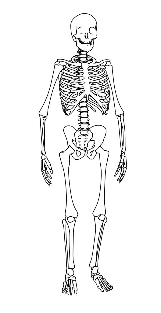 Skeleton Coloring Page - Wecoloringpage.com