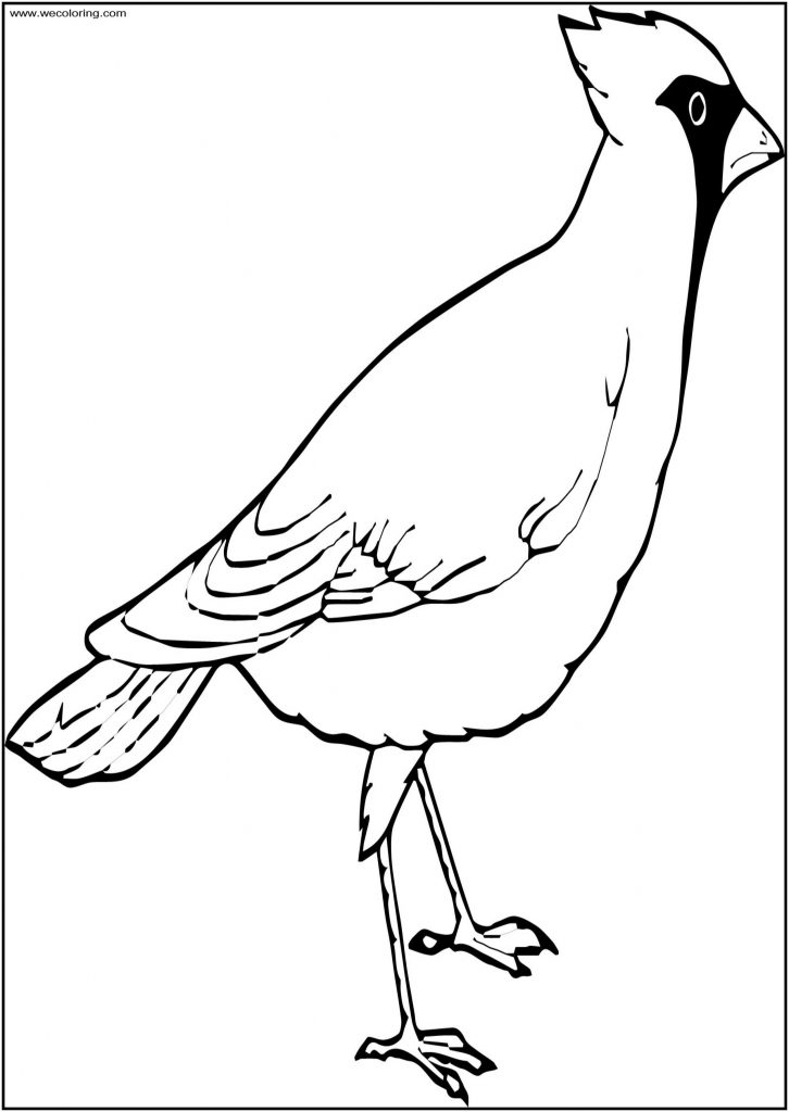 This Bird Free A4 Printable Coloring Page - Wecoloringpage.com