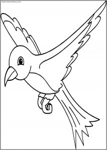 We Bird Free A4 Printable Coloring Page