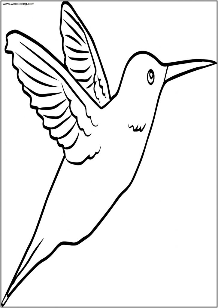 You Bird Free A4 Printable Coloring Page - Wecoloringpage.com