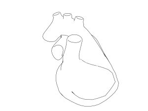 human heart coloring page 1