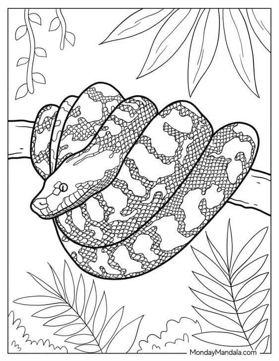 Intriguing Snake Coloring Pages