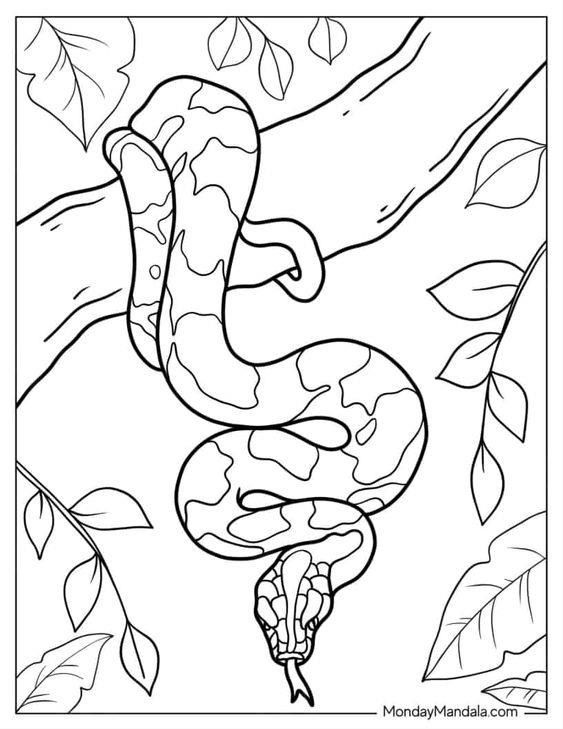 Snake Coloring Pages