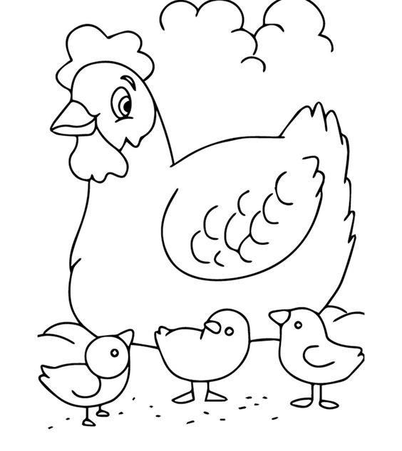 Chick Coloring Coloring Pages